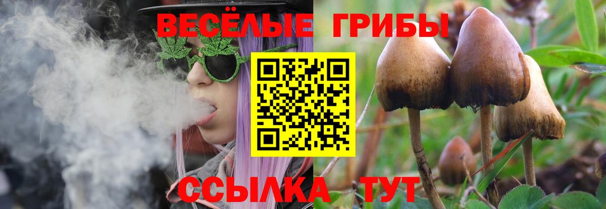 Галлюциногенные грибы Magic Shrooms  Вход с VPN  Галлюциногенные грибы Psilocybe  Курчатов 